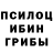 Галлюциногенные грибы Psilocybe Sticky Sputum
