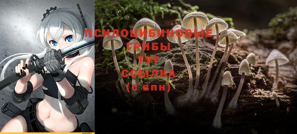 стафф Алексеевка